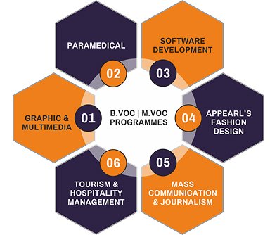 B.Voc Programme Features